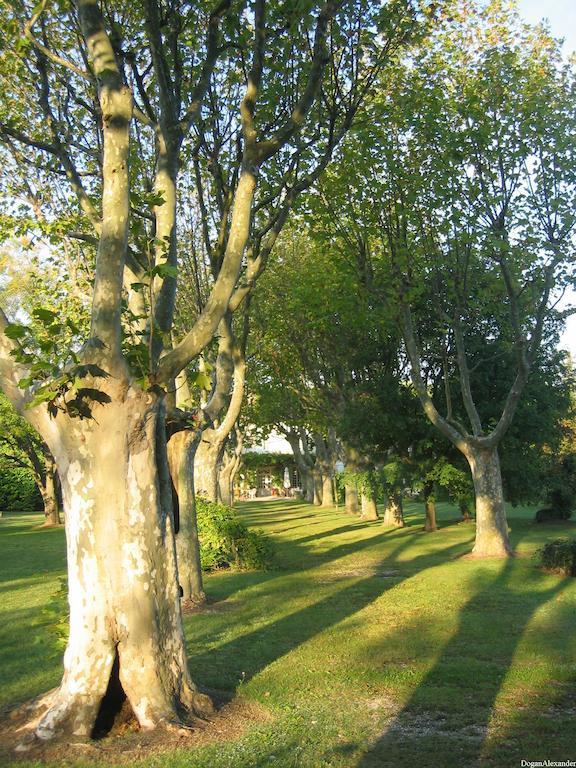 Demeures Et Chateaux Hotel L'Hermitage Pernes-les-Fontaines Ngoại thất bức ảnh